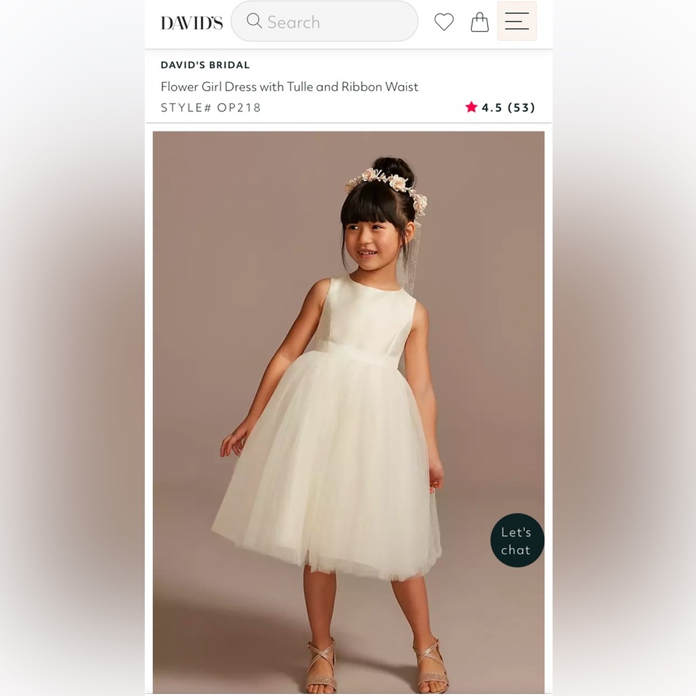 David’s Bridal Flower Girl Dress with Tulle and Ribbon Waist